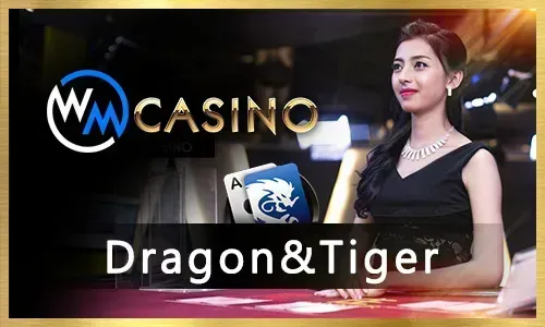Pragmatic Play Live Roulette registration